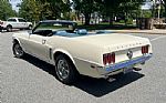 1969 Mustang Convertible Thumbnail 4