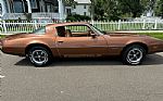 1979 Firebird Thumbnail 8