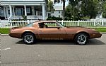 1979 Firebird Thumbnail 12