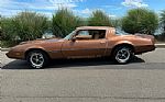 1979 Firebird Thumbnail 13