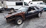 1982 MUSTANG Thumbnail 2