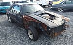 1982 MUSTANG Thumbnail 6