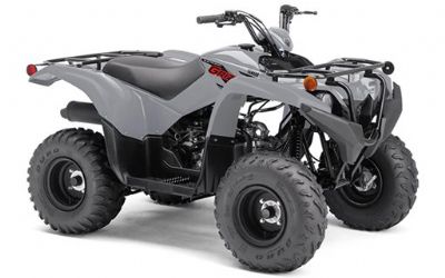 Photo of a 2022 Yamaha Grizzly 90 for sale