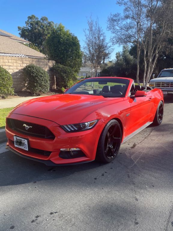 2016 Mustang Image