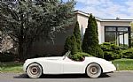 1954 XK120 Roadster Thumbnail 5