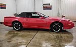 1992 FIREBIRD Thumbnail 2