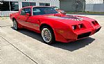 1979 Trans Am Thumbnail 3