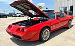 1979 Trans Am Thumbnail 25