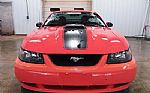 2004 Mustang Thumbnail 7