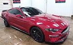 2020 MUSTANG Thumbnail 1