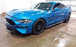 2019 MUSTANG Thumbnail 4