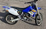 2001 YZ250F Thumbnail 1