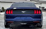 2019 Mustang Thumbnail 4