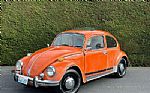 1972 Beetle Thumbnail 2