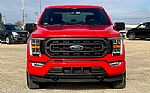 2021 F-150 Thumbnail 3