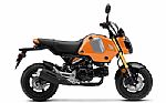 2024 Honda Grom