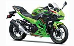 2024 Kawasaki Ninja 500