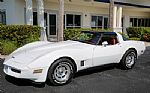 1981 Corvette Thumbnail 21