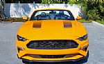 2018 Mustang Thumbnail 3