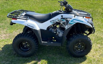 Photo of a 2022 Kawasaki Brute Force 300 for sale