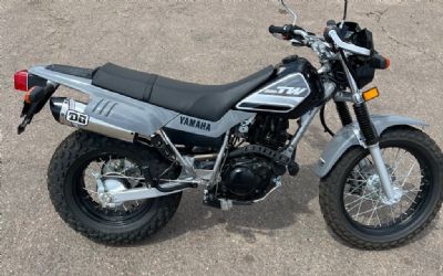 Photo of a 2022 Yamaha TW 200 for sale